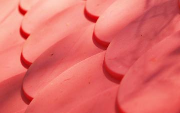 Ash plastic roof costs